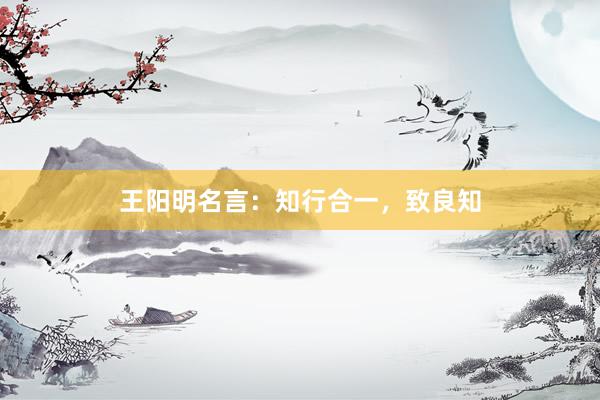 王阳明名言：知行合一，致良知